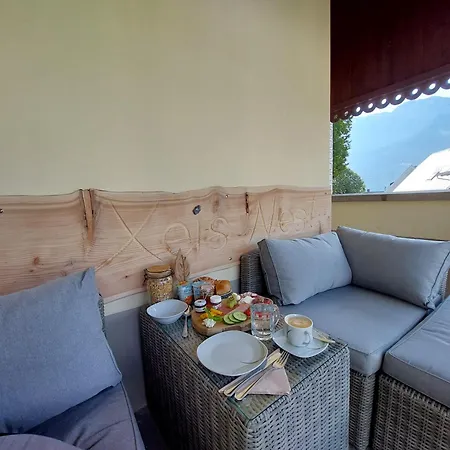 Xeis Nest Admont