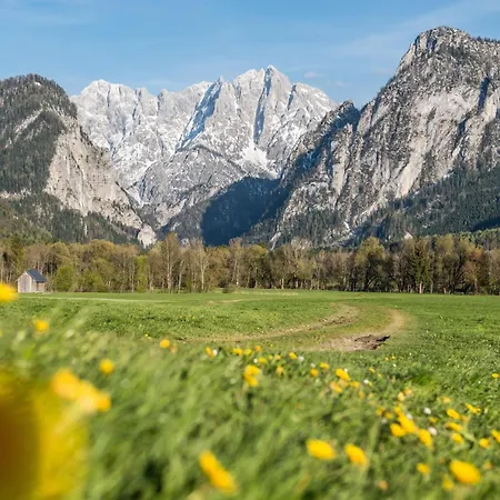 Affittacamere Xeis Nest 3*