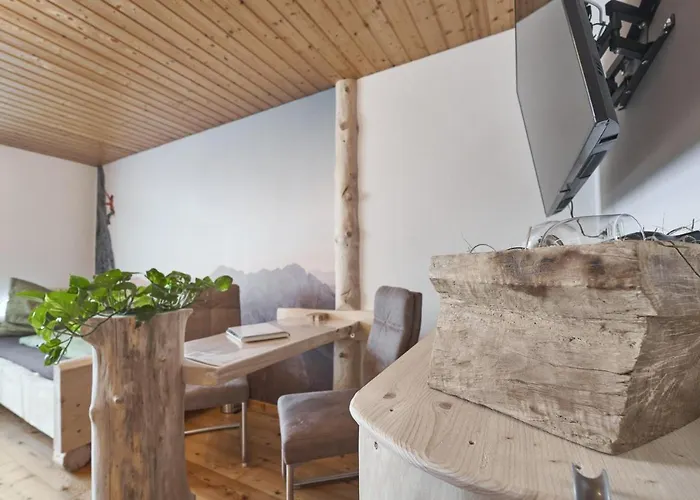 Xeis Nest أدمونت