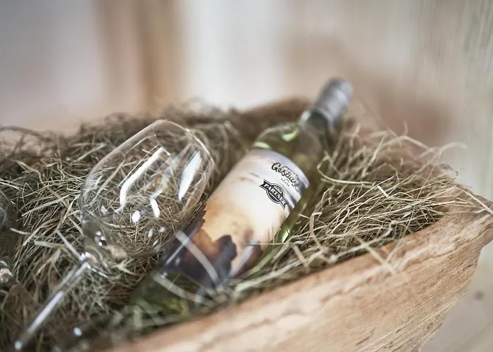 Xeis Nest 3* أدمونت