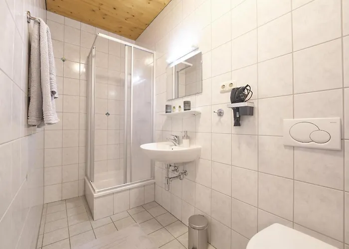 Xeis Nest أدمونت