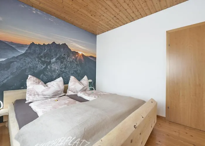 Xeis Nest أدمونت