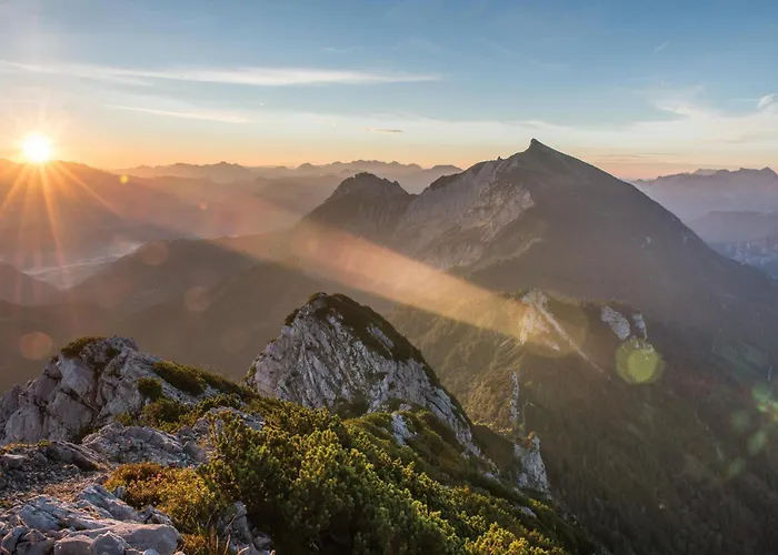 Xeis Nest 3* أدمونت