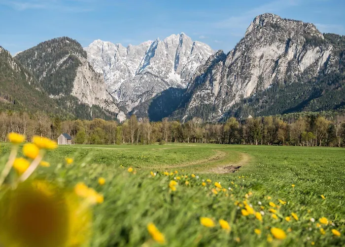 بيت ضيافة Xeis Nest 3*